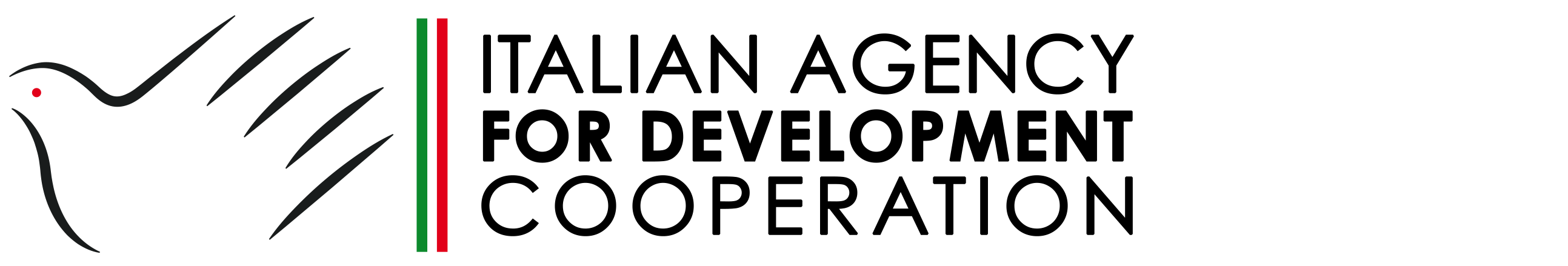 Italian Agency for Development Cooperation